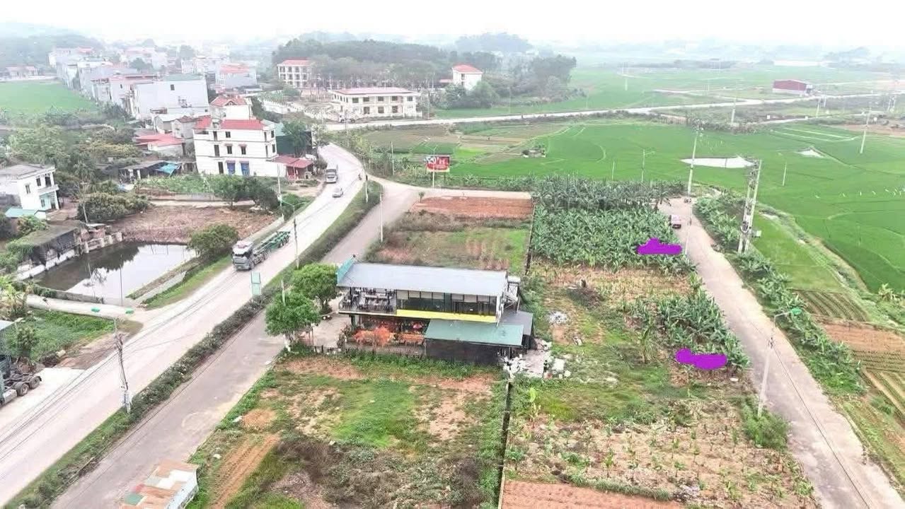 Đất đấu giá Lãm Sơn, Lục Nam 90m² - View đồng thoáng đãng, giá chỉ 1.3 tỷ