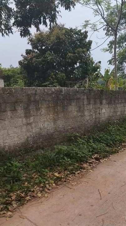 Đất nền 173m² Yên Thế, Bắc Giang - Giá 500 Triệu, Sẵn Thổ Cư