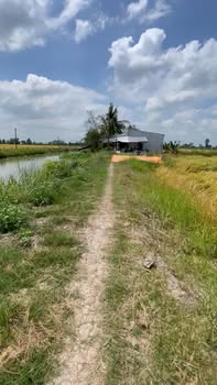 Đất Vườn Cần Thơ 10800m² - Sổ Hồng Sẵn Sàng, Giá Đầu Tư 690 Triệu