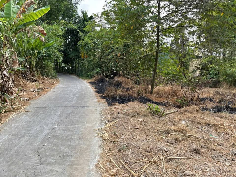 Bán đất 1000m² Hậu Giang - Vườn ao, view sông, sổ hồng sẵn