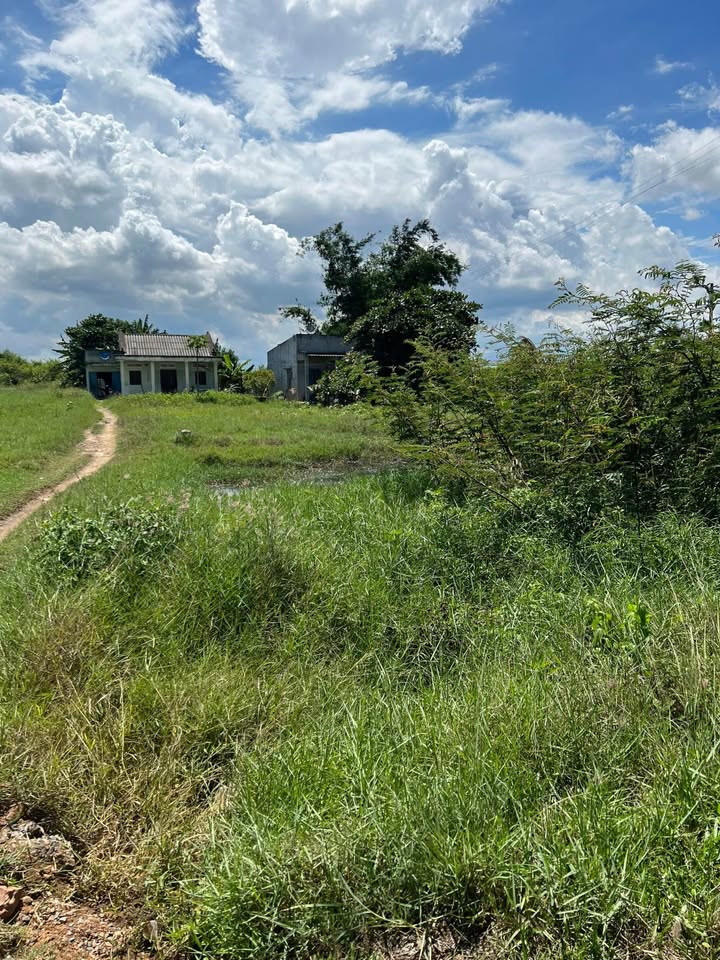 Đất Mặt Tiền Kinh Doanh Đường Nhựa Hàm Minh - 212.6m² Thổ Cư