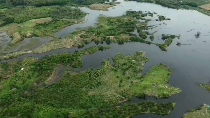 Bán 1.3ha Đất Mặt Hồ Daguri, Hàm Thuận Bắc - Tiềm Năng Kinh Tế & Nghỉ Dưỡng