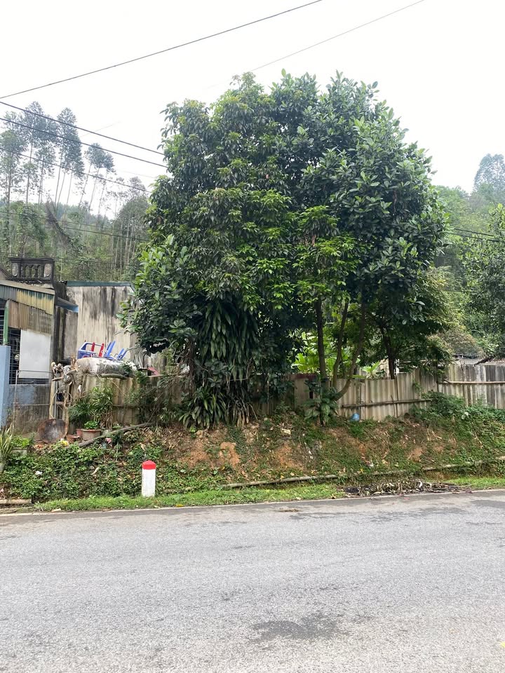 Bán Đất Thổ Cư 200m² Mặt Tiền QL4E, Lào Cai - Giá 1.6 Tỷ