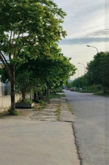 Bán Đất Khu Đô Thị Xuân Thành 104m² - Sẵn Sàng Đầu Tư