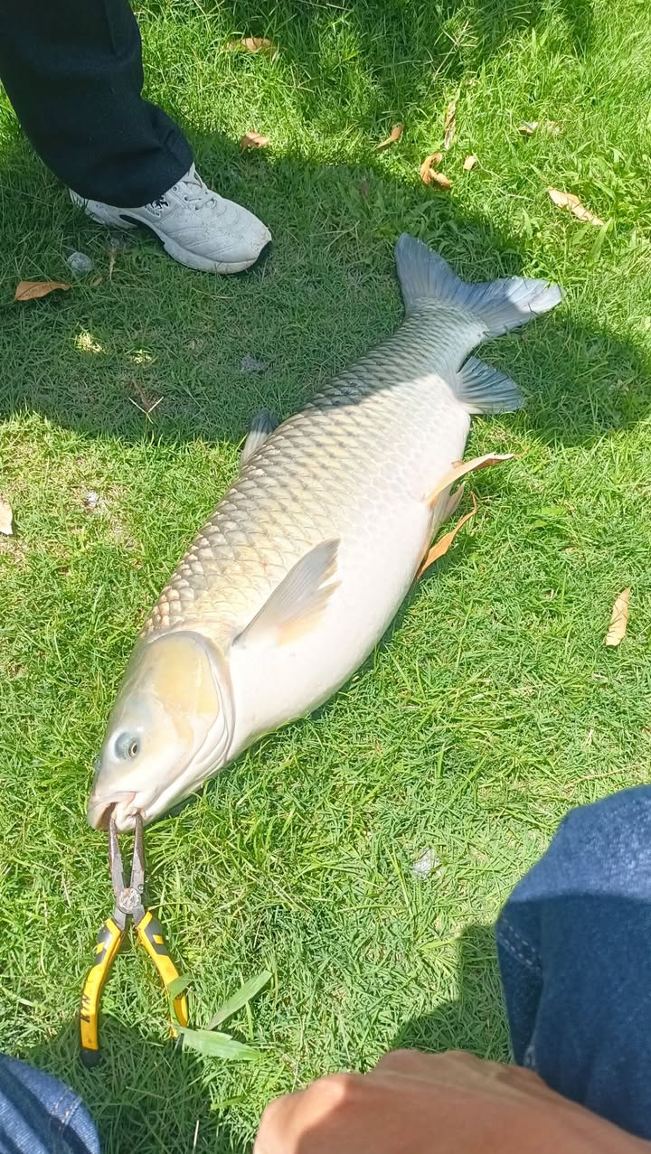 Đất Lộc An Bảo Lâm 680m² Mặt Tiền Đường Nhựa - Giá 52.47 Tỷ