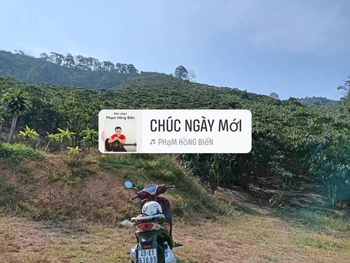 Bán đất nông nghiệp 10.000m² tại Bảo Lộc, Lâm Đồng - Sổ đỏ, giá tốt