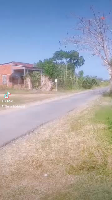 Bán đất 3600m² Ba Tri, Bến Tre - 45tr/m ngang, full thổ cư