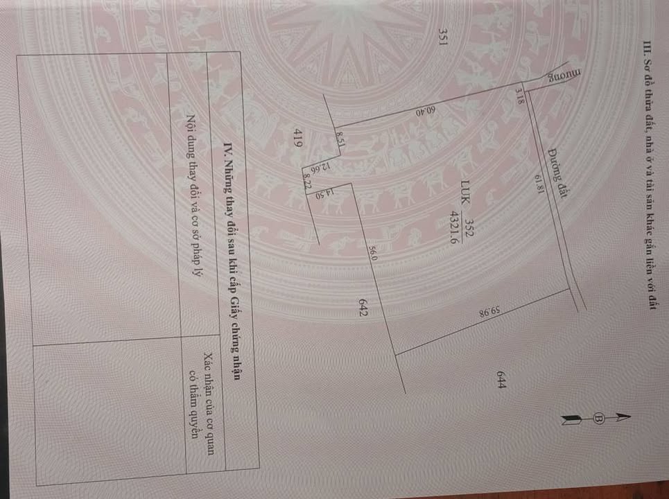 Bán Đất Vàng 3900m² Trảng Bàng, Tây Ninh - Pháp Lý Sạch, Giá Tốt