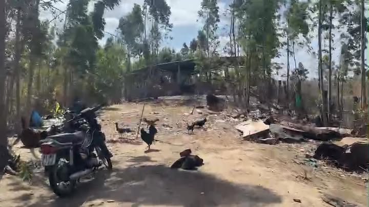 Bán Gấp Farm 1.5ha Kông Chro, Gia Lai - Có Trại Heo, Mặt Suối, Giá 650 Triệu