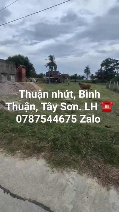 Đất nền Bình Định 126.6m² - Giá tốt, vị trí đắc địa, pháp lý rõ ràng