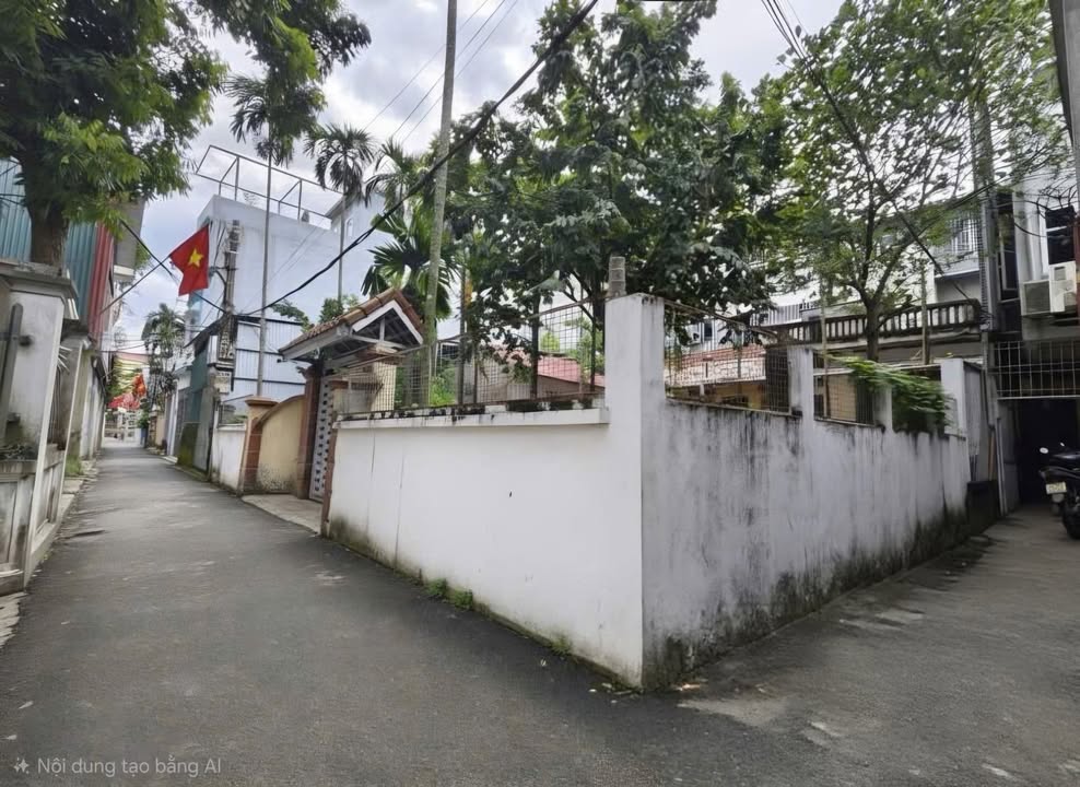 Đất Lô Góc 110m² Ngũ Hiệp, Thanh Trì - Ô Tô Vào Đất, Giá Đầu Tư