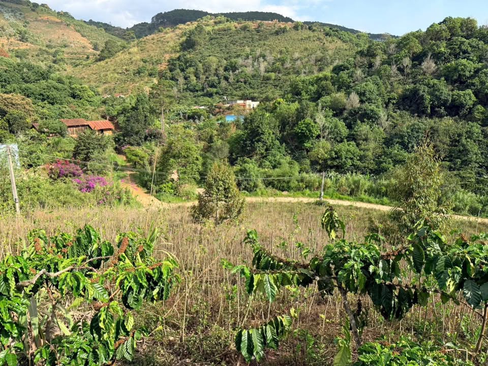 Đất Vườn Nghỉ Dưỡng Lâm Hà - Sổ Đỏ 500m² Giá Chỉ 380 Triệu