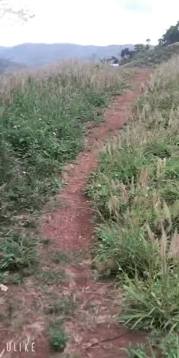 Đất Vườn Đắk Nông 23.000m² - Giá Đầu Tư 1.6 Tỷ