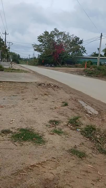 Bán Gấp Đất Thổ Cư 901m² Mặt Tiền DHO1 - Sẵn Sàng Xây Nhà