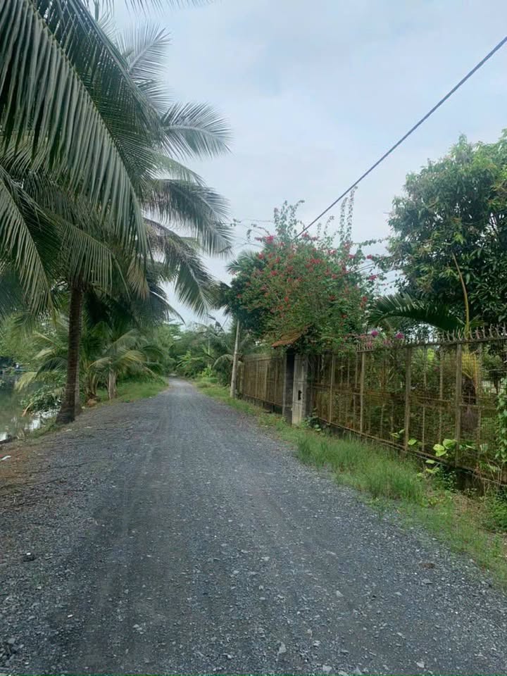 Đất Nền Bình Chánh 1230m² - Sẵn Sàng Xây Dựng, Mặt Tiền Đường Xe Tải