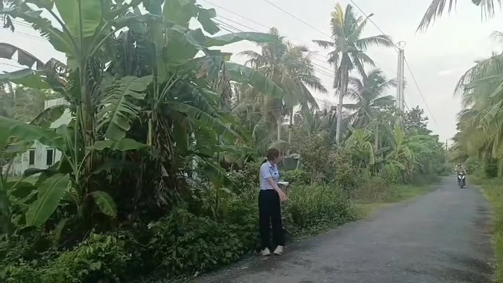 Đất Vườn 525m² Ấp Tân Đại, Tiểu Cần - Giá Tốt, Không Khí Mát Lành