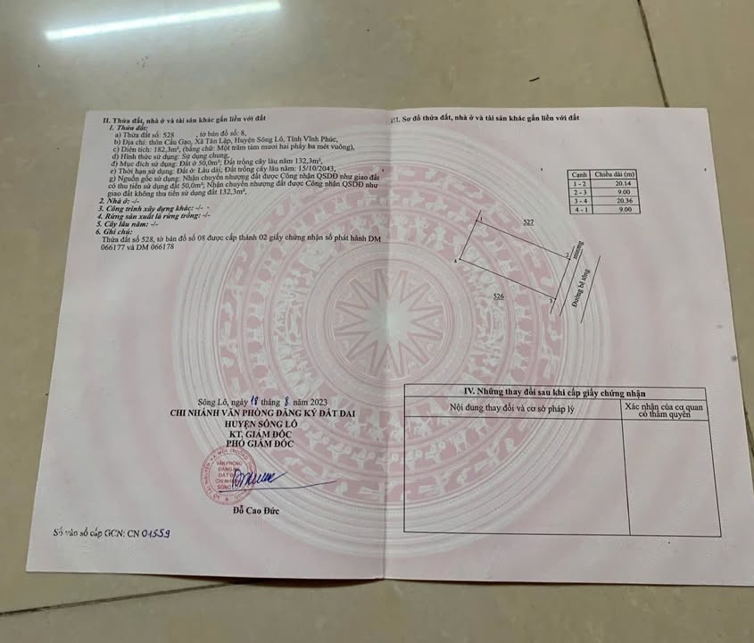 Đất Sông Lô Vĩnh Phúc 182m² - Mặt tiền 9m, Sẵn Sổ Hồng