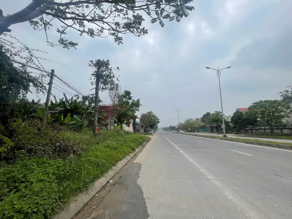 Đất nền Kinh doanh Mặt tiền Đường Đôi 36, Tam Dương, Vĩnh Phúc - 150m² Giá 2 Tỷ