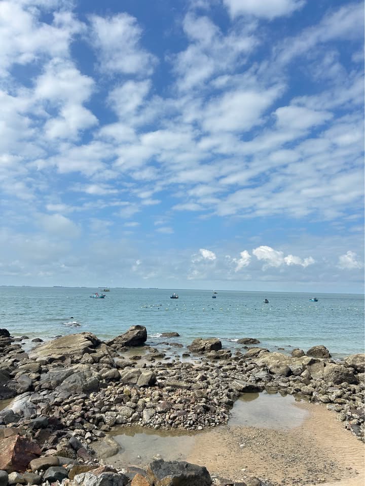 Đất Mặt Tiền Hải Thượng Lãn Ông, Vũng Tàu - 185m² Full Thổ Cư, Giá 8.3 Tỷ