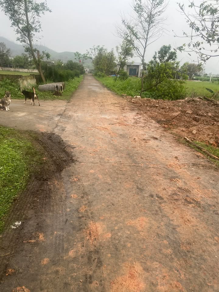 Bán đất mặt tiền Kỳ Anh, Hà Tĩnh - 216m² sát QL1A, kinh doanh hoặc ở