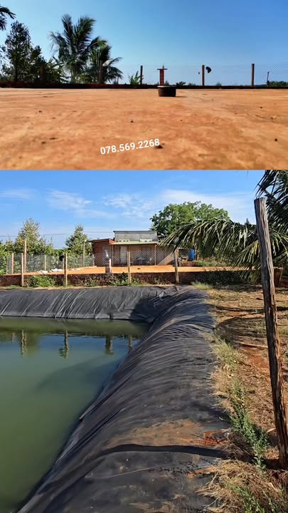 Bán Gấp Farm 1.8ha Cà Phê, Sầu Riêng Tại Chư Prông, Gia Lai - Giá Tốt