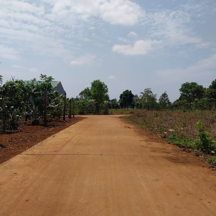 Đất Nền Ia Pa 154m² - Giá Đầu Tư Chỉ 299 Triệu - Sổ Hồng Full Thổ Cư