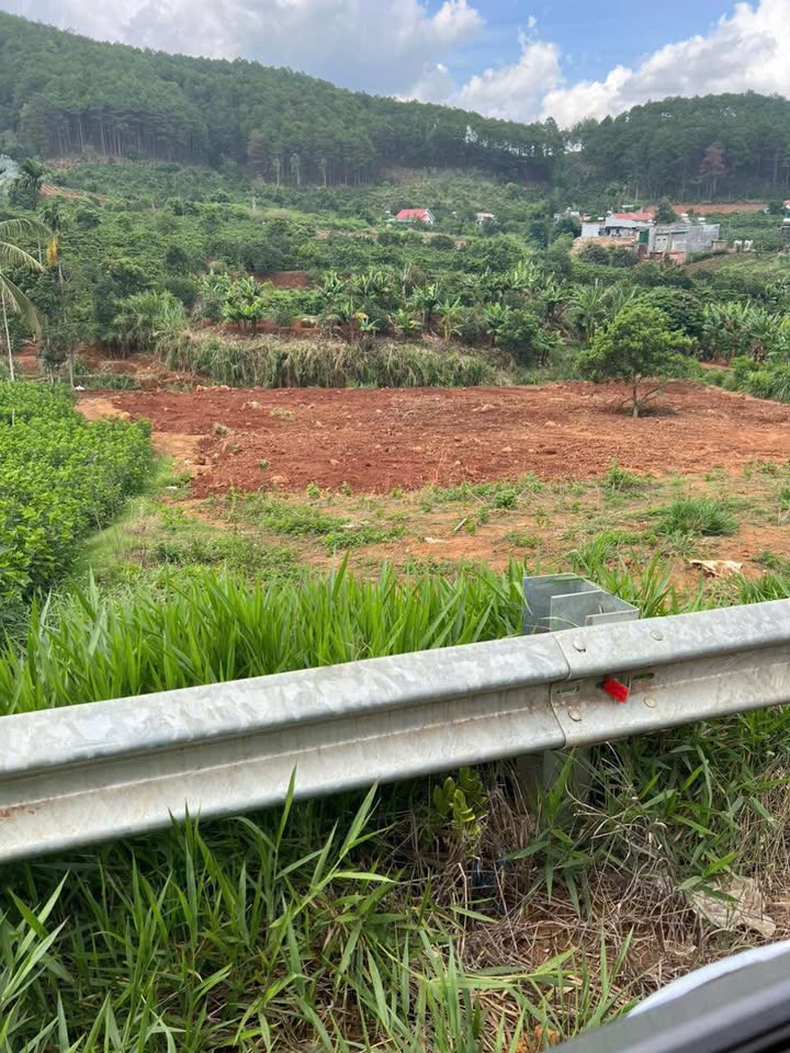 Bán Đất Mặt Tiền Đường Nhựa Nam Ban, Lâm Hà, Lâm Đồng - 592m² Sổ Hồng Sẵn Sàng