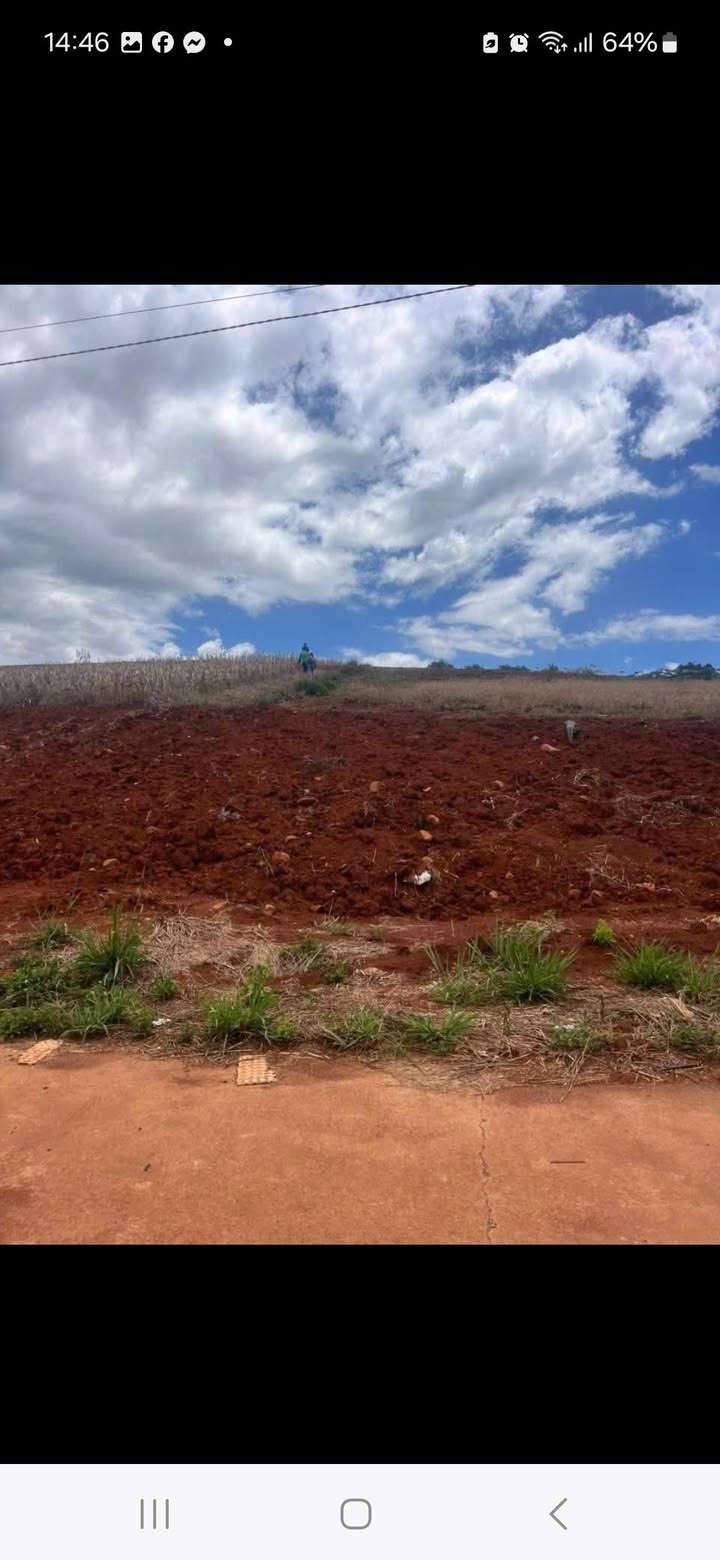 Farm 30.000m² Đất Đỏ Xã Tân Hà, Lâm Hà - Giá Tốt 220 Triệu/Năm