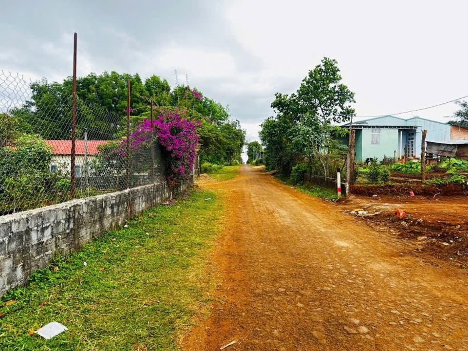 Đất Nền Đăk Đoa - 540m² Thổ Cư Giá 1.9 Tỷ, Sổ Hồng Sẵn