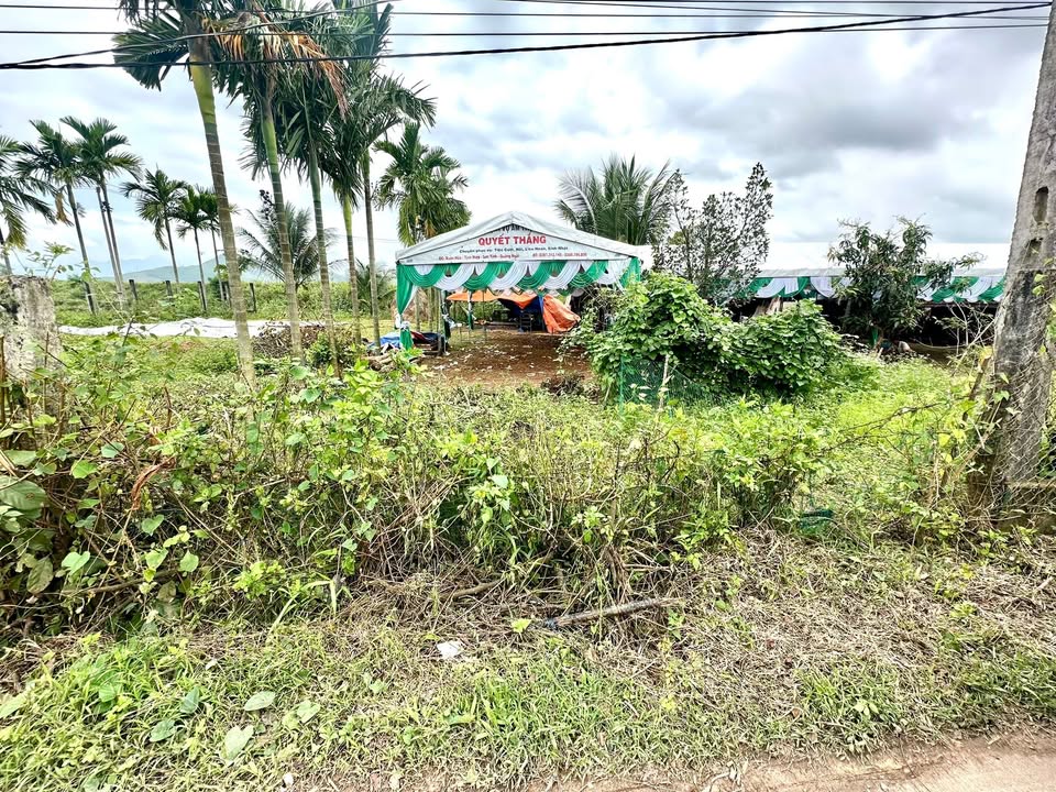 Đất nền Mặt Tiền Ba Gia An Điềm 180m² - Sổ Sẵn, Giá Hời Đầu Năm