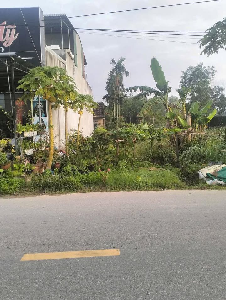 Đất nền Tỉnh lộ 622C, Sơn Tịnh - 153m² mặt tiền kinh doanh, giá 1.2 tỷ