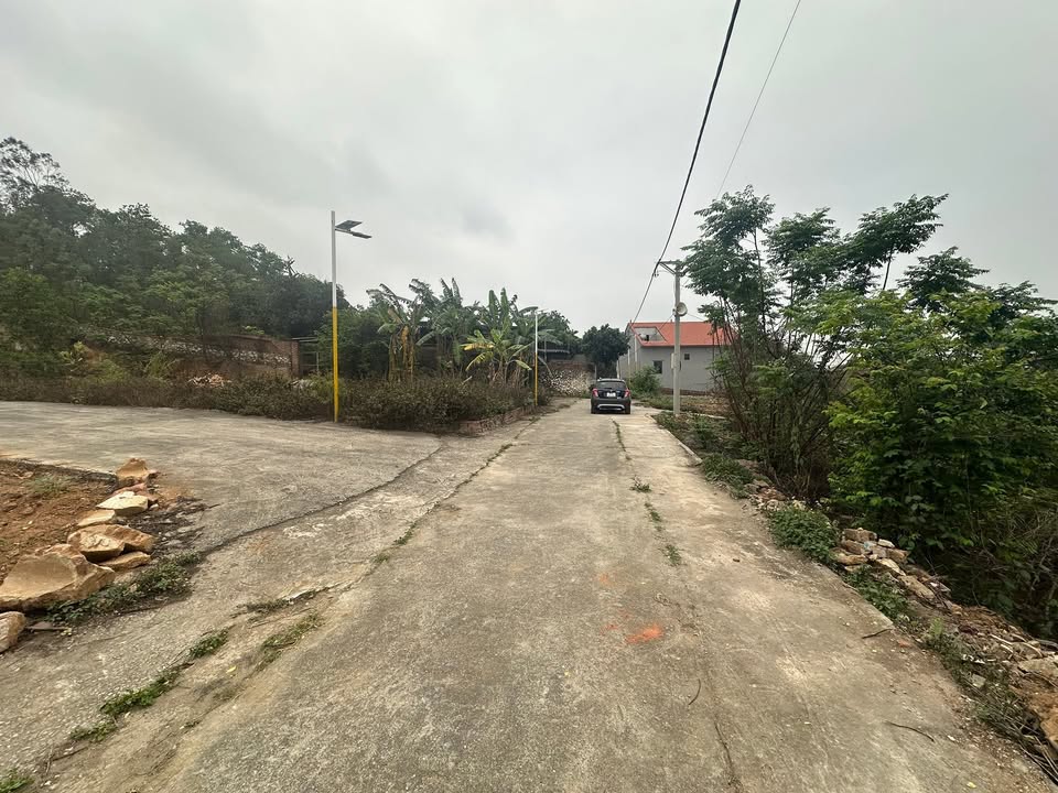 Đất nền Văn Phong 100m² giá dưới 800 triệu - Sổ đỏ sẵn sàng đầu tư!