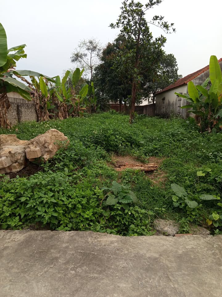 Đất Nền Phổ Yên, Thái Nguyên - 225m² Thổ Cư, Mặt Tiền Rộng 7.5m - Giá 1 Tỷ