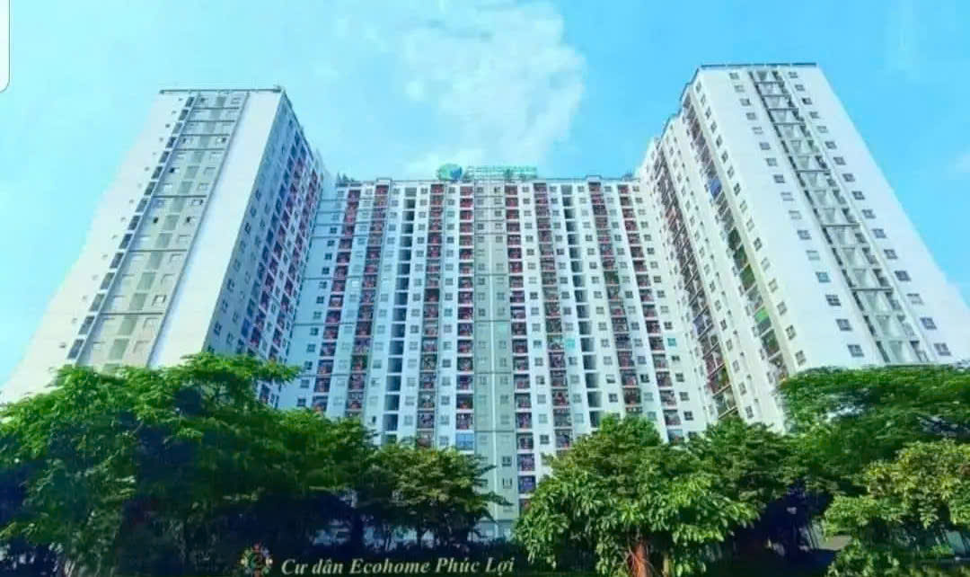 Chung cư Ecopark Phúc Lợi 82m² - Căn góc tầng trung, full nội thất