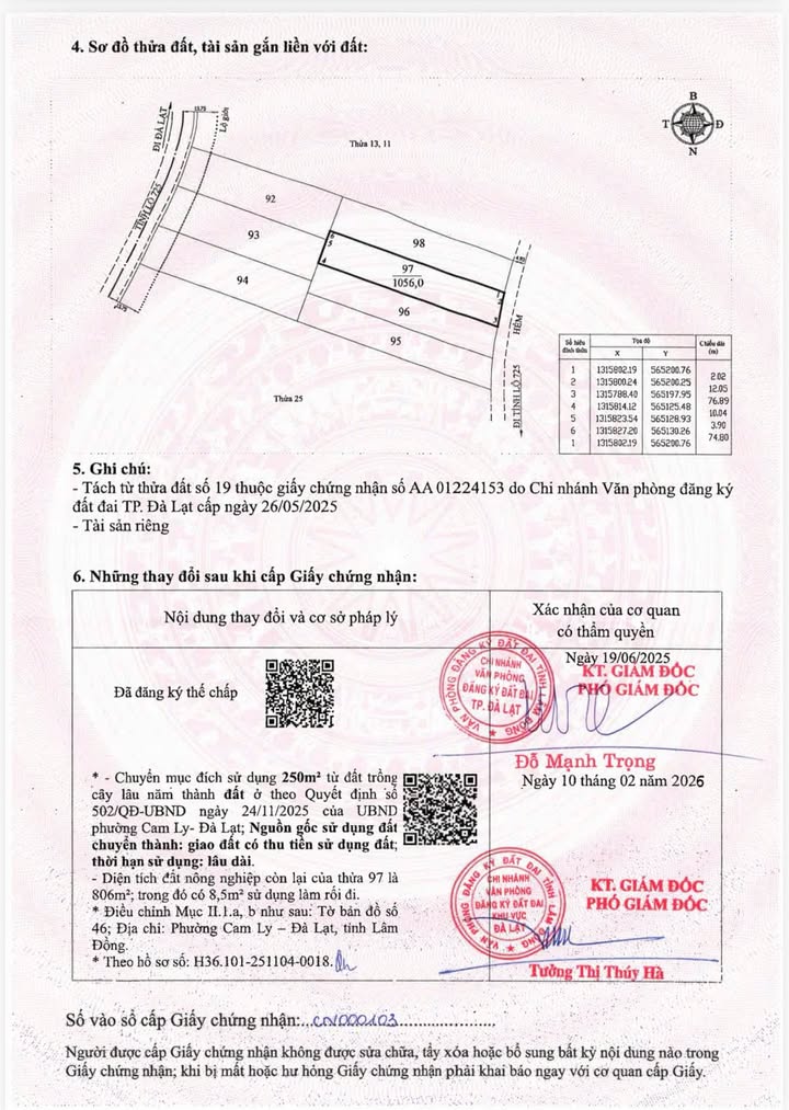 Đất Nền Đà Lạt 1000m² - Giá Giảm 1 Tỷ, Chỉ Còn 6.5 Tỷ - View Rừng Thông