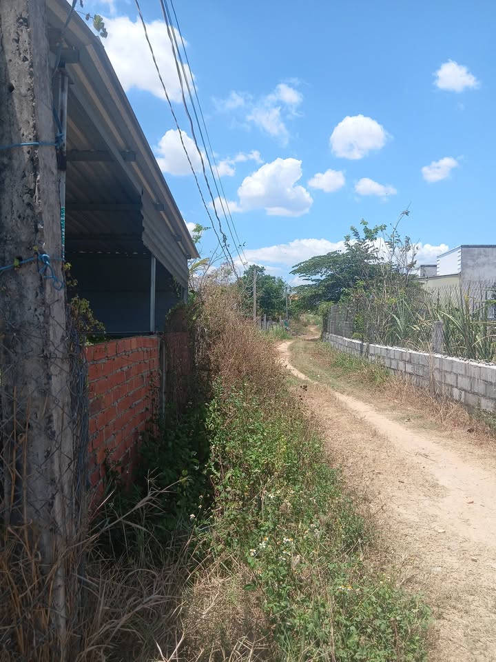 Bán đất vườn 877m² Lâm Đồng - Vườn bưởi xoài trĩu quả, giá 600 triệu