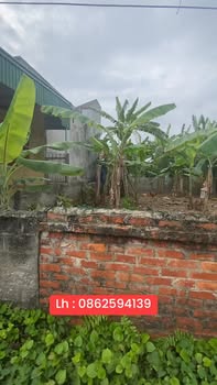 Đất nền Mậu Công, Tứ Kỳ, Hải Dương - 96m² - Trục chính, giá đầu tư