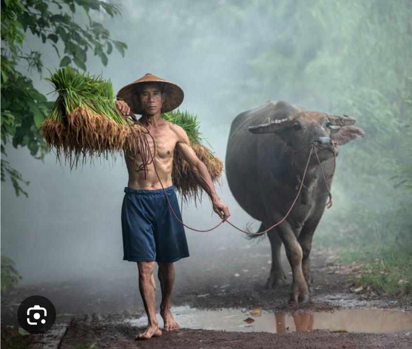 Nhà Mặt Tiền Gò Công 440m² (11x40m) - Giá 2.3 Tỷ - Gần Chợ, UBND