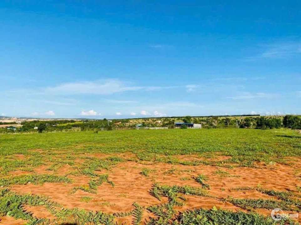 Bán Đất Vườn 14400m² Xã Hồng Thái, Bắc Bình - Sổ Hồng Sẵn Sàng