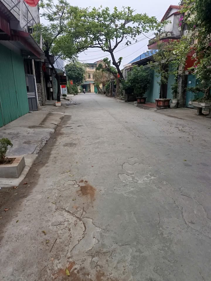 Bán đất 71m² phường Hoa Lư, Ninh Bình - Sổ đỏ chính chủ, gần phố cổ