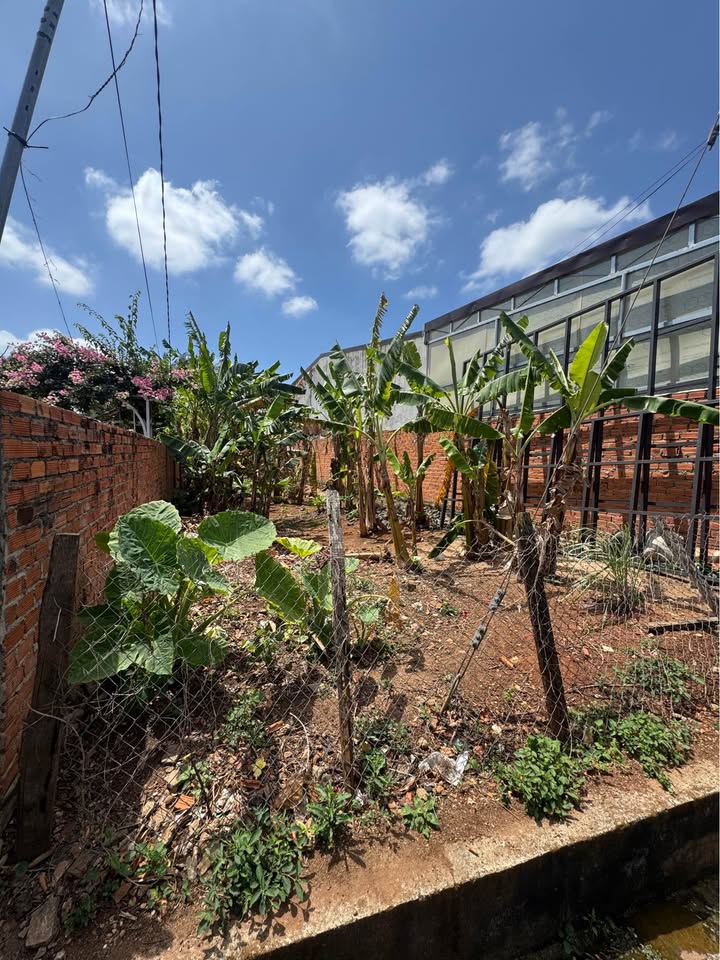 Đất Vàng Phường Tân Thành, BMT - 180m² Thổ Cư, Đối Diện Chợ Đầu Mối