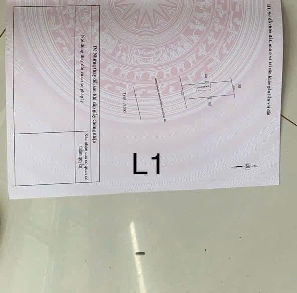 Đất nền 1750m² Tiến Thành, Đồng Xoài - Sổ đỏ sẵn, giá đầu tư