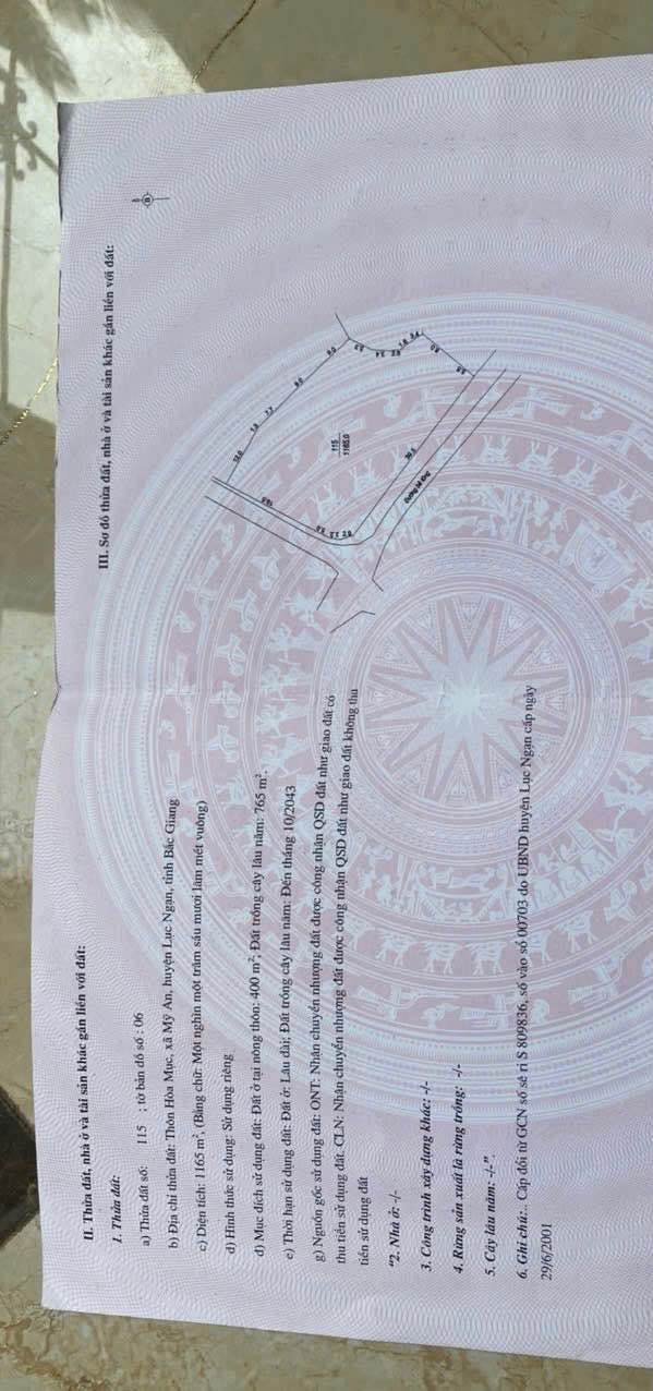 Bán Đất Lục Ngạn 1165m² Thổ cư 400m² - Sẵn Sàng Xây Dựng