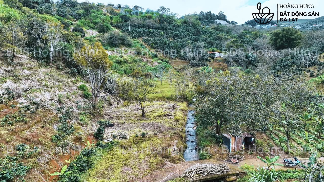 Đất Nền Đà Lạt 2026m² Sổ Riêng View Đồi, Cách Chợ Cầu Đất 1.5km - Chỉ 1.45 Tỷ/Sổ