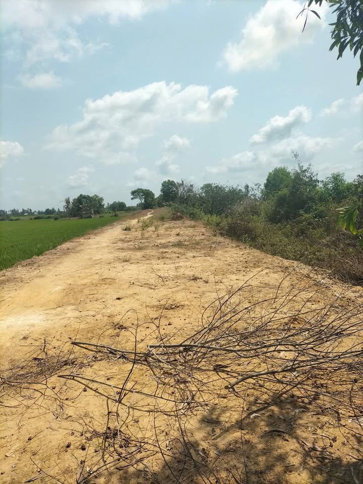 Bán Đất Ruộng 3.6ha Sông Lớn, Tân An, Long An - Giá Đầu Tư 110 Tỷ