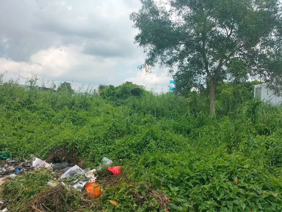 Bán Đất Nền An Giang 110m² - Đầu Tư Sinh Lời Vị Trí Đẹp