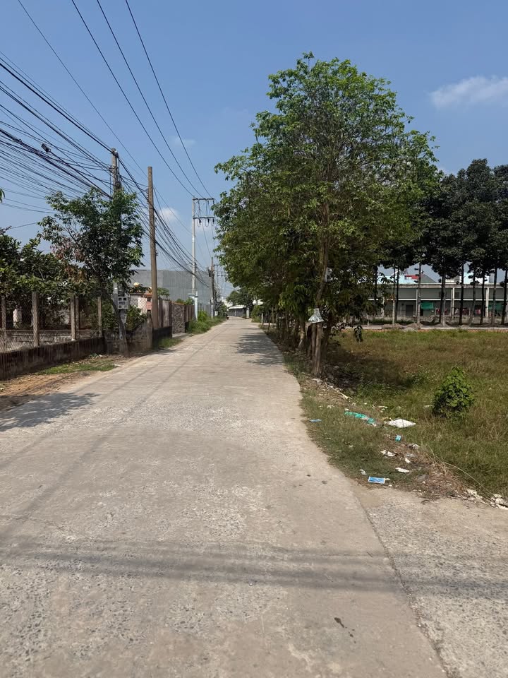 Đất nền Tân An 130m² - Sổ hồng sẵn, giá 1.65 tỷ - Cơ hội đầu tư sinh lời!