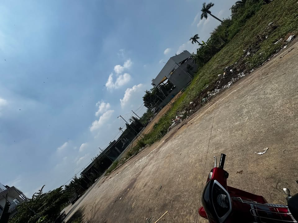 Bán Đất Nền 125m² Mặt Tiền Đại Lộ Tân Đức, Long An - Giá 1.2 Tỷ