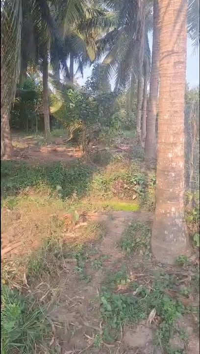 Bán Nền Đất 150m² Phường Nhị Quý, Tiền Giang - Giá 350 Triệu/Nền