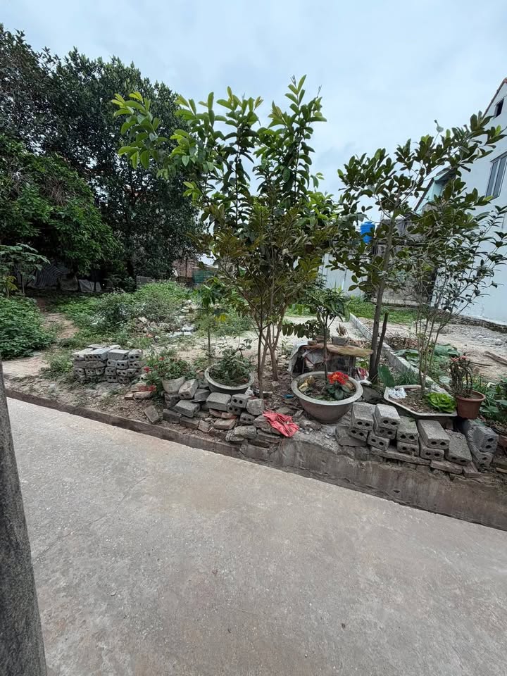 Bán Đất Thổ Cư 60.4m² Sổ Đỏ Rõ Ràng Tại Phú Xuyên, Hà Nội